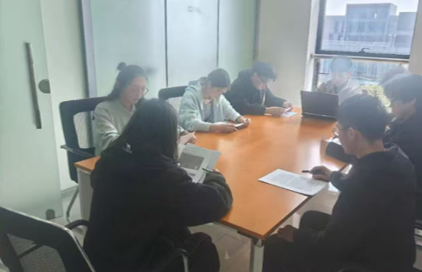 Project meeting with partner